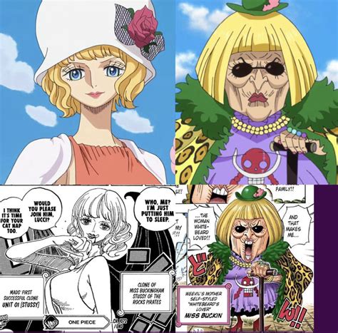 stussy buckingham|One Piece capítulo 1073: Bakkin confirmado como Miss。